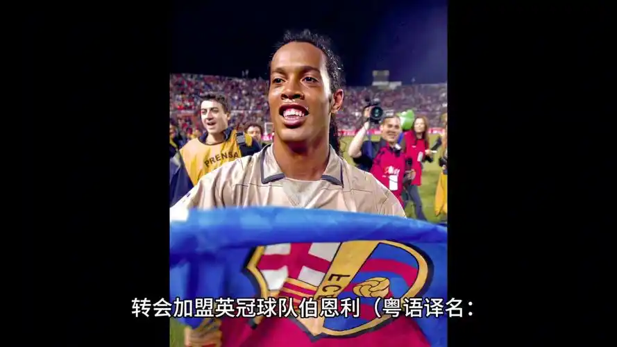 谷歌的SE 谷歌的SE