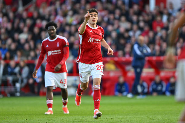 琼托利与莫 琼托利与莫